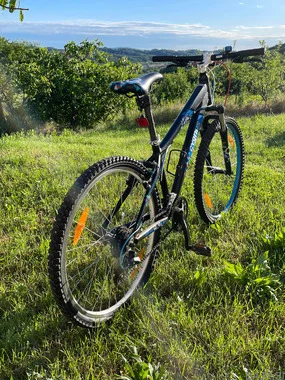 Otroško/mladinsko gorsko kolo Cygnus dirt pro 26”