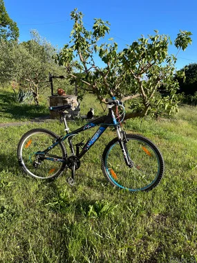 Otroško/mladinsko gorsko kolo Cygnus dirt pro 26”