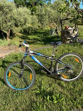 Otroško/mladinsko gorsko kolo Cygnus dirt pro 26”