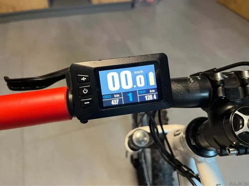 ben-e-bike TWENTY pro - otroško ekolo- ebike