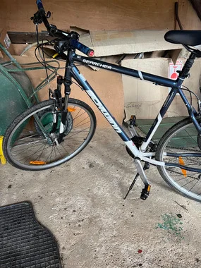 Schwinn searcher Xl