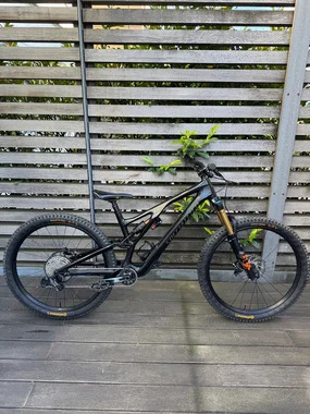 Specialized stumpjumper evo