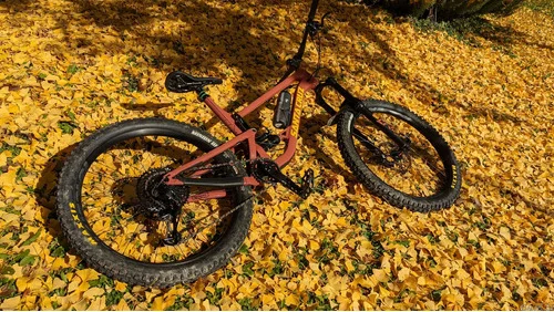 SANTA CRUZ Bronson 3