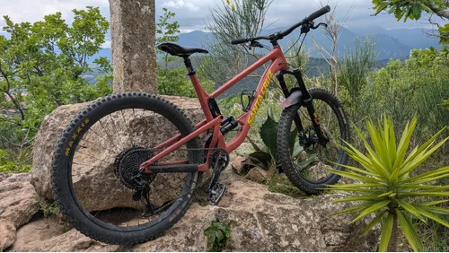 SANTA CRUZ Bronson 3