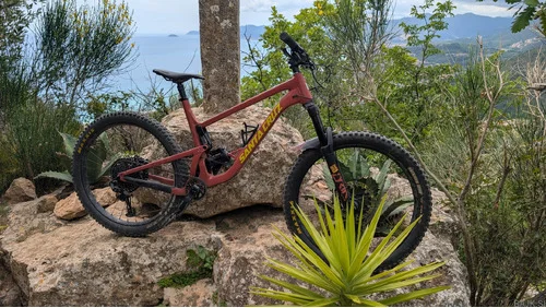 SANTA CRUZ Bronson 3