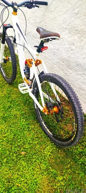 giant faith