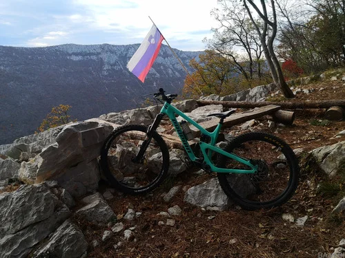Propain Tyee CF