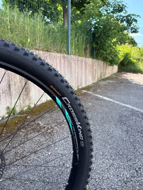 Focus Super Bud 29R 2.0