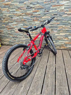 Otroško kolo 20 col