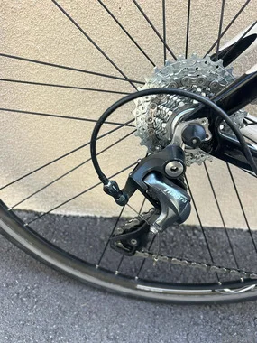 WILIER TRIESTINA FULL KARBON, vel. S (52)