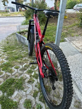 ZESTY AM FIT 4.0