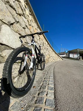 Trek Remedy 8