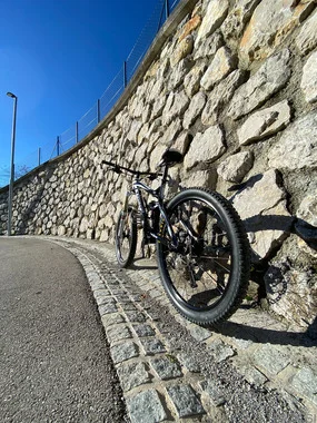 Trek Remedy 8
