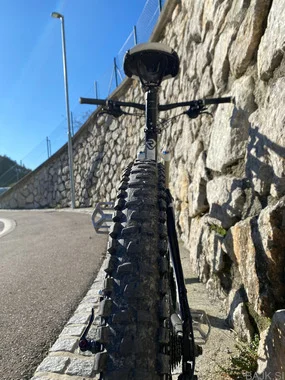 Trek Remedy 8