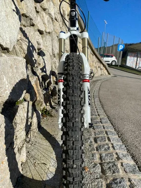 Trek Remedy 8