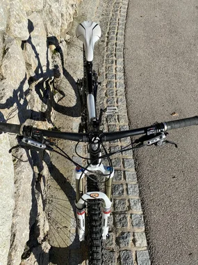 Trek Remedy 8