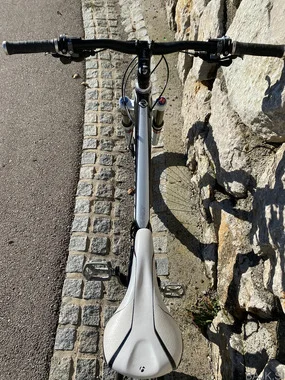 Trek Remedy 8
