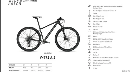 Karbonsko kolo: FOCUS - RAVEN 8.6 (Matt black)
