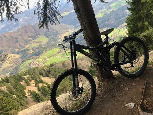 Elan Downhill / Freeride MTB – full suspension