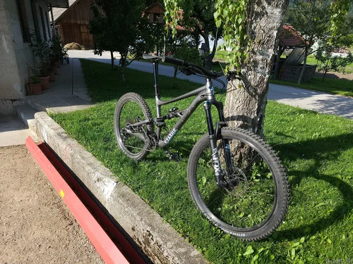 Specialized status 160