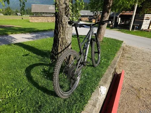 Specialized status 160