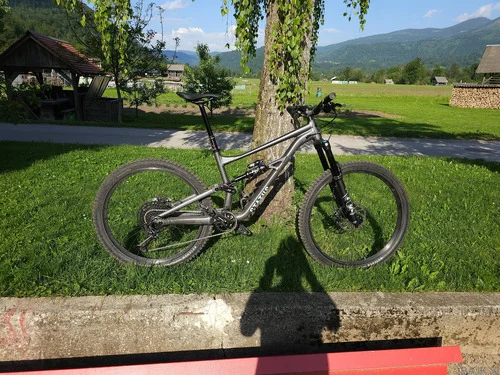 Specialized status 160