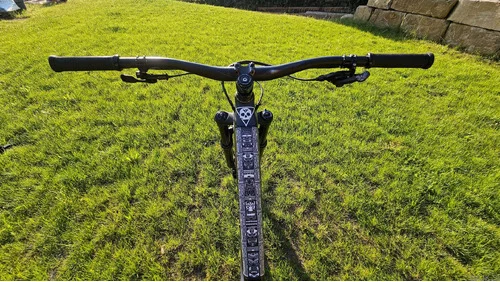 YT Capra CF 29 2018 L