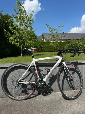 Wilier--Triestina