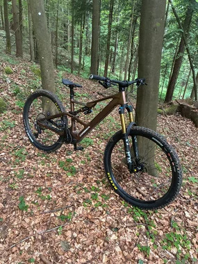 Orbea Rise M10 LT 2025 630w
