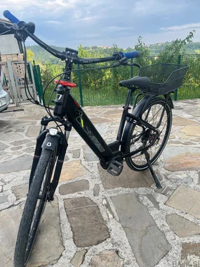 Olympia magnum