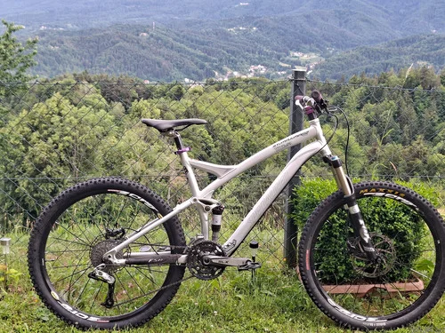 PRODAM SPECIALIZED STUMPJUMPER FSR