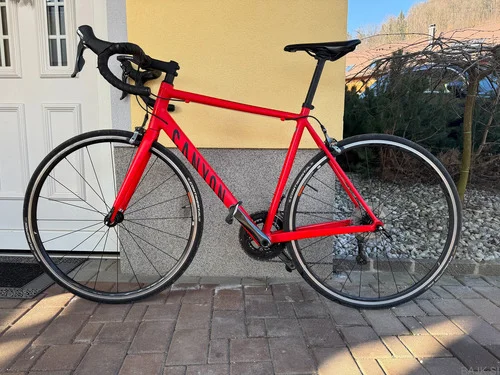 CANYON ENDURACE AL