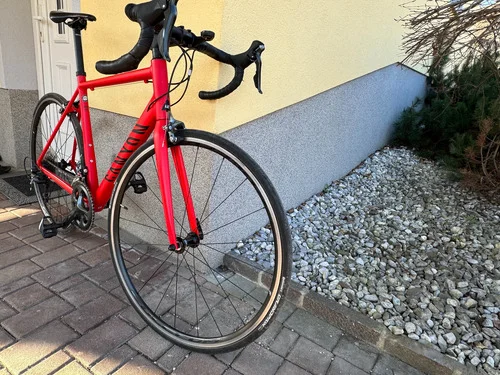 CANYON ENDURACE AL