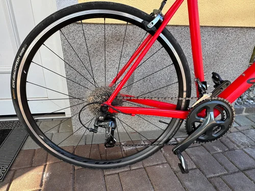 CANYON ENDURACE AL