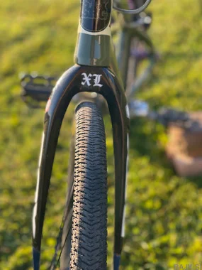 BMX Expert (Staystrong)