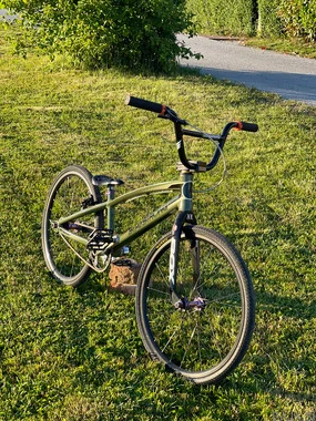 BMX Expert (Staystrong)