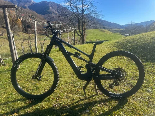 Yt Decoy Sn 29