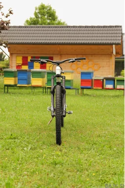 2023 Trek Slash