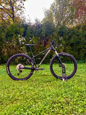 Norco Fluid HT 29v