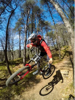NUKEPROOF DISSENT RS 290