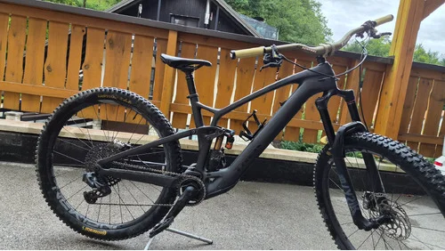 Trek Fuel ex-e