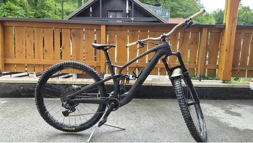 Trek Fuel ex-e