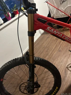 Santa cruz v10