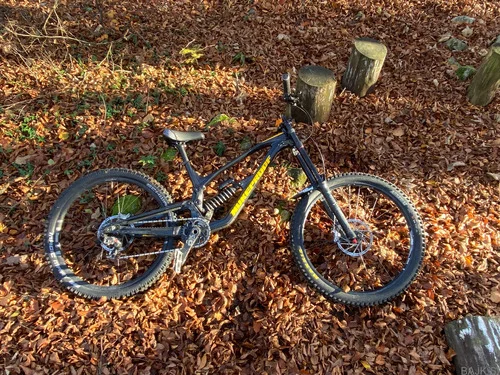 Nukeproof dissent