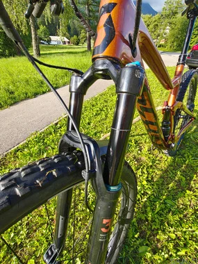Scott Genius 930, 2020 (L)