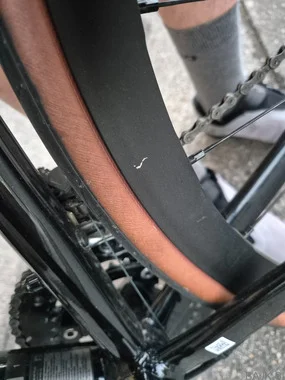 Giant Contend SL 1 2022