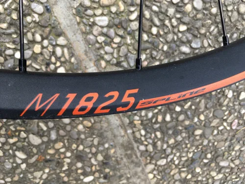 Laufradsatz DT 29 Zoll, 30mm