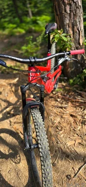 YT CAPRA PRO