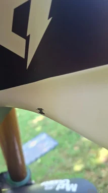 YT tues