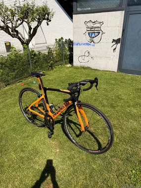 Pinarello Prince
